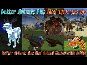 Better Animals Plus Mod Animal Showcase Minecraft 1.12.2 1.14.4 2k 60FPS Animals in Minecraft Ep47
