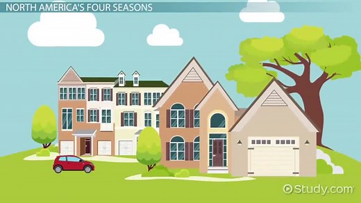 Seasons of the Year Lesson for Kids: Definition & Facts