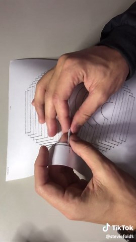 steviefolds on TikTok