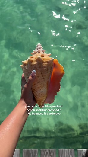 The Prettiest Conch Shells from the Bahamas