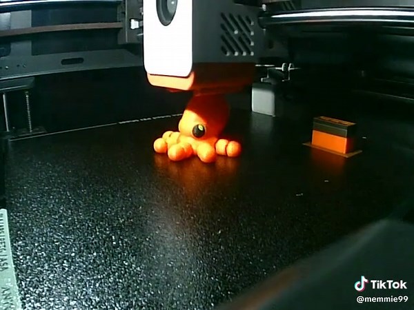 3D Printing an Octopus with Anycubic S1: Timelapse