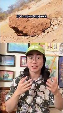 The sordid tale of a stolen meteorite