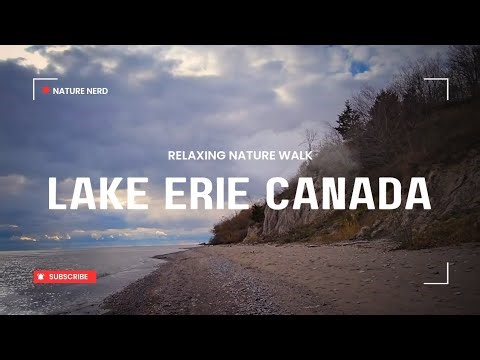 A Quiet November Walk on Lake Erie | Relaxing Canadian Nature ASMR