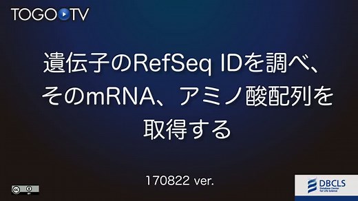 遺伝子のRefSeq IDを調べ、そのmRNA、アミノ酸配列を取得する