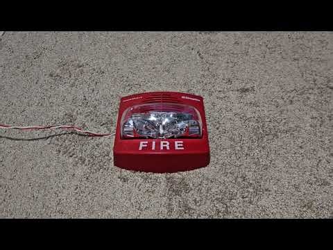 Simplex TrueAlert Horn Strobe for 1 minute