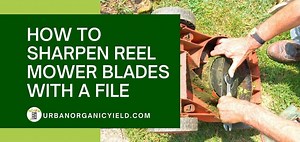 How To Sharpen Reel Mower Blades Using File & Sharpening Compound