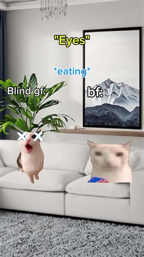 Eyes: A Memorable Cat Story