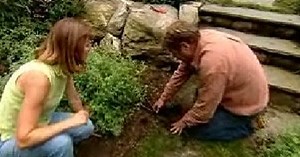 How To Repair Drip Irrigation