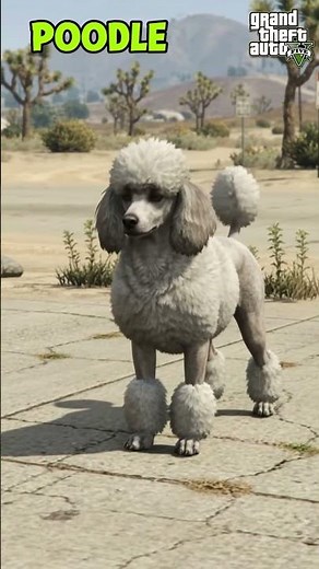 All Dogs in GTA 5 🐶 | Every Dog Breed in Grand Theft Auto V
