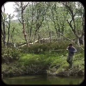 3.3K views · 224 reactions | Check out this trailer for a new web series set in northern Sweden by LOOP Media Team member Rolf Nylinder. Available from 31st March.  #looptackle | Loop Tackle | Facebook