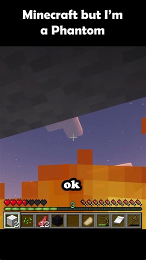 Minecraft but I’m a Phantom… it didn’t go well 👀