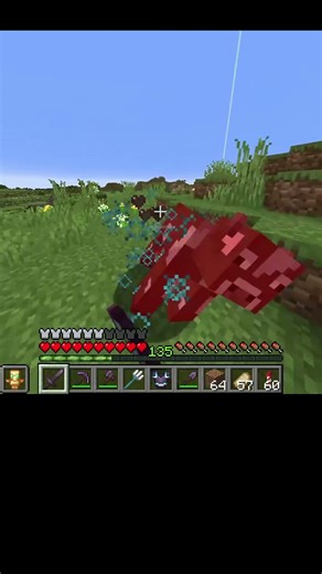 My Minecraft Tweakeroo Settings #minecraft #gaming