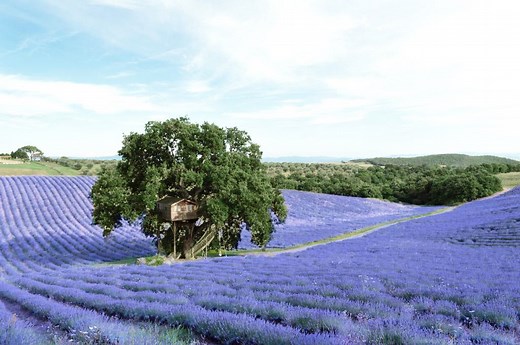 33 Stunning Treehouses Around the World That You Can Actually Rent