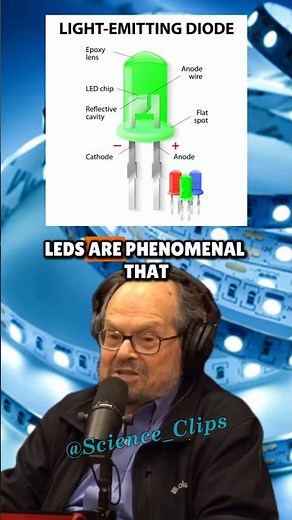 Why Banning Incandescent Bulbs💡 Was a Mistake — Richard Lindzen Explains