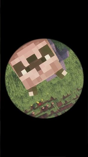 El MAPACHE Pedro EN MINECRAFT