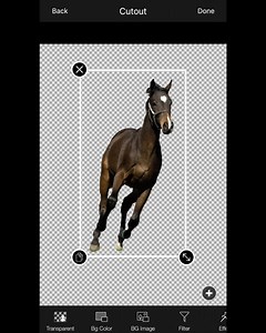 152 reactions · 45 shares | Blur & Remove Background: Complete Photo Editor | LightX | Facebook