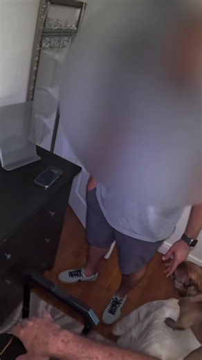 How to crack open Amazon basic safe in few seconds. #amazonproduct #rubbermallet #funnyvideo #homesafe | Calabrese