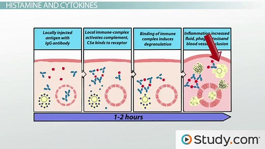 Inflammation | Definition, Symptoms & Treatment