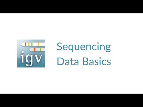 IGV | Sequencing Data Basics