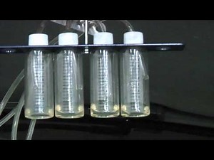 Forté Diesel Specialist Injector Cleaner - For Professional Use Only