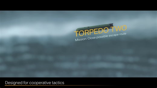 9.8K views · 237 reactions | Saab’s Lightweight Torpedo system (SLWT) is designed to handle the harshest naval environments on the planet. Easy to handle and highly adaptable, SLWT meets tomorrow's needs. Discover its capabilities here: https://www.saab.com/products/lightweight-torpedo #Navaltech #Torpedo | Saab | Facebook