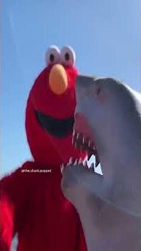 SHARK PUPPET MEETS ELMO...