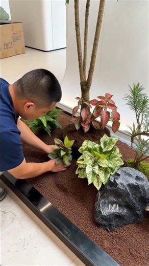 Easily create your own indoor garden #spacedesign #gardendesign #garden #plants