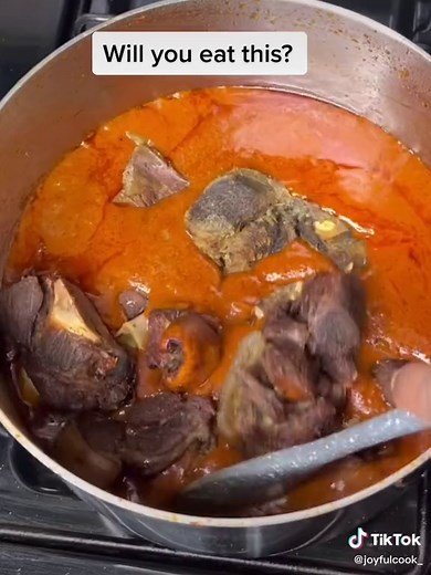 Joyfulcook_ on TikTok