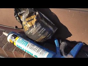 How to mouseproof your house