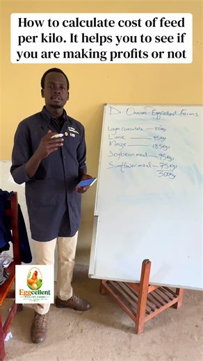 Cost per kg of feed for layers: simple calculation