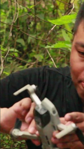 DJI Mavic Mini Drone is one of the Best Drone