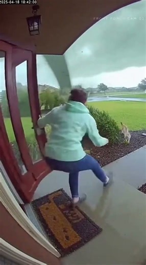 why only one #art #butifyoucloseyoureyes #catvideos