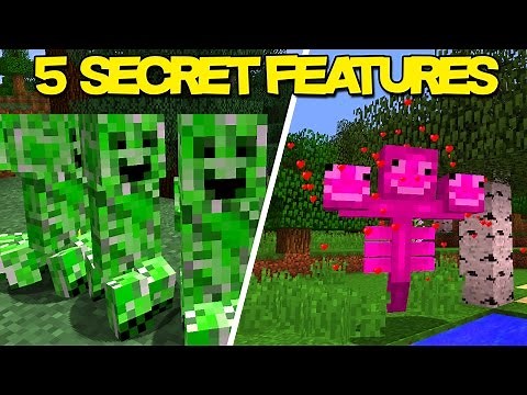 5 SECRET Minecraft Features (Hidden Features)
