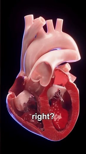 How Open Heart Cardiac Surgery Works