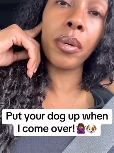 Adorable Doggos Steal the Show!