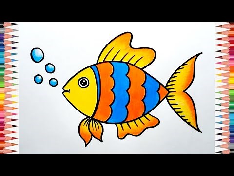 Fish Drawing For Beginners || How to Draw Fish Step By Step || Easy Fish Drawing With Colour..