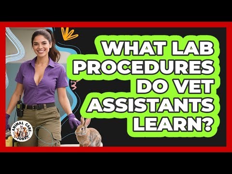 What Lab Procedures Do Vet Assistants Learn? - Animal Care Jobs