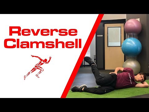 Reverse Clamshell Exercise