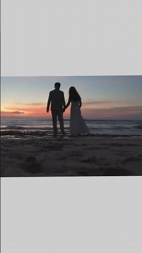 Edius 11 Reels Project File Free Download #tigerfilmbeawer #shot