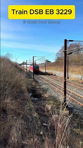 Train DSB EB 3229 (Slagelse) 🇩🇰