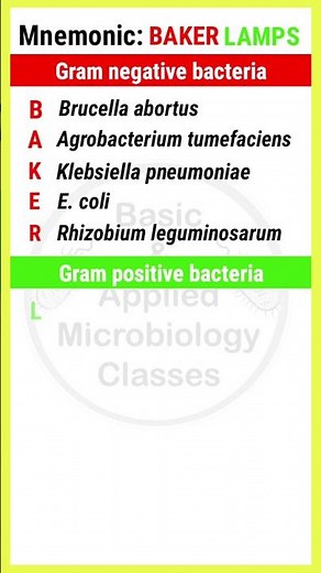 Examples of Gram positive and Gram negative Bacteria | With Mnemonics | #shorts