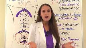 Fundal Height NCLEX Review