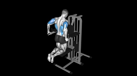 Assisted Dip – How To Video, Alternatives & More