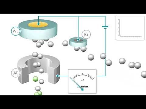 Amperometric Detection