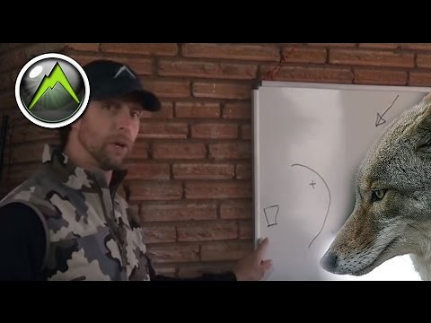 How to Call Coyotes - Coyote Hunting Basics by Clay Owens