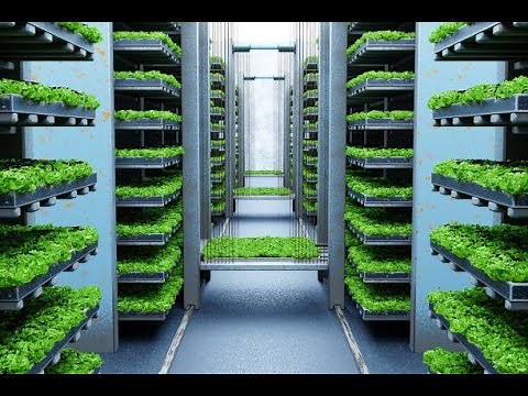 Everything to Know About Vertical Farming| Agricultural Technology