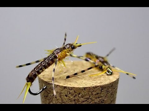 Golden Stonefly Nymph Fly Tying Video