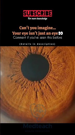 What the Eye Looks Like Under a Microscope | Amazing Science! #microscope