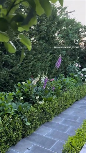 146K views · 4.7K reactions | { S P R I N G } A lovely dusk wander...