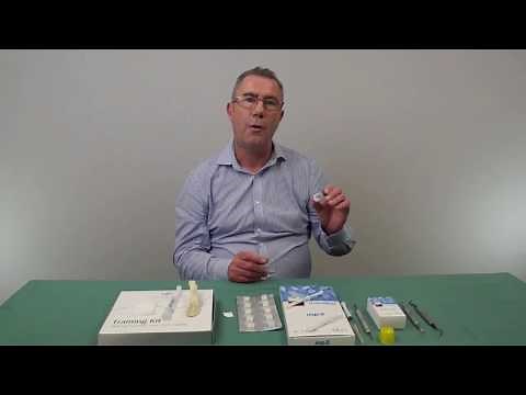 Essential Instruments & Bone Graft Materials For Socket Preservation And Atraumatic Tooth Extraction